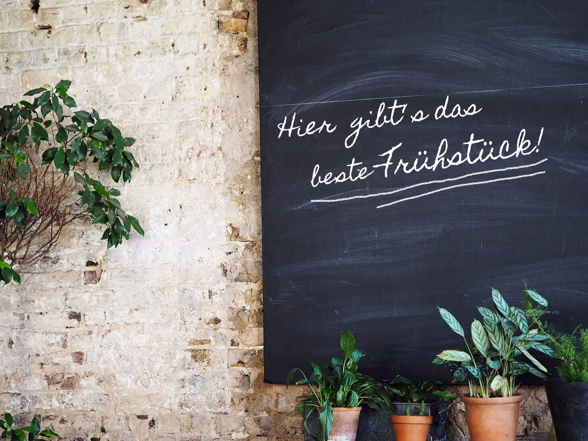 Frühstück und Brunch in Wien