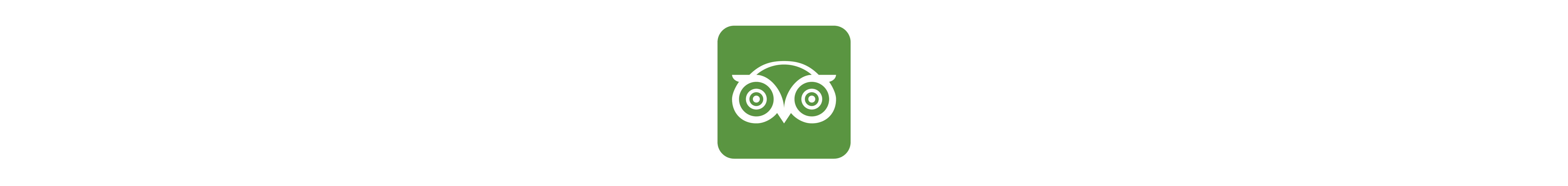 Tripadvisor Logo