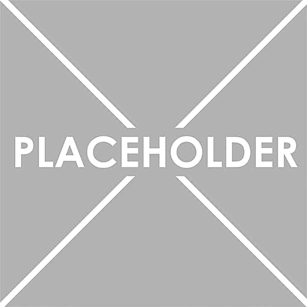 placeholder placeholder