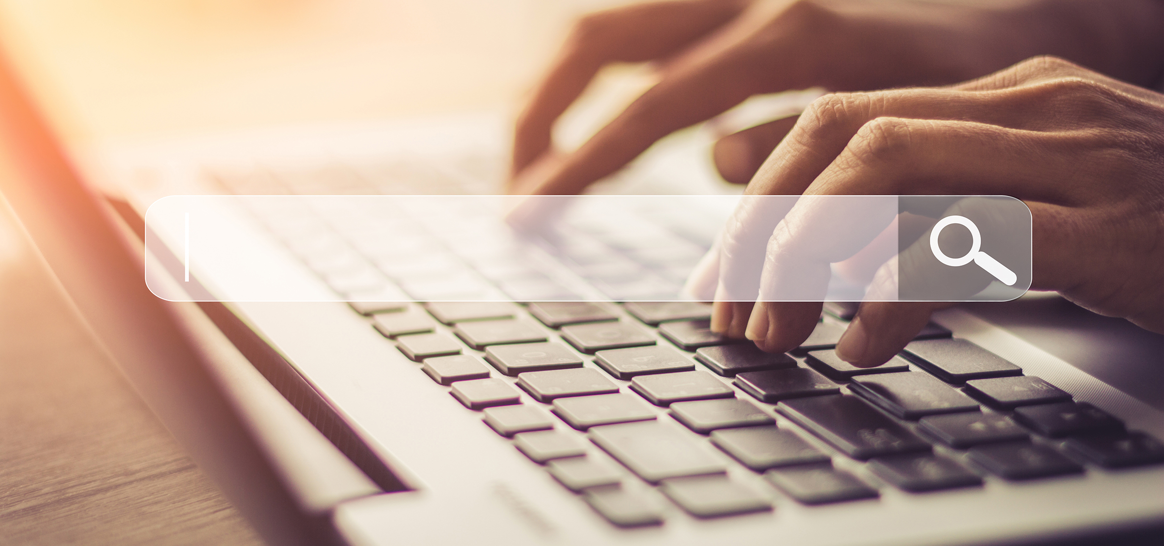 Suchfeld im Internet