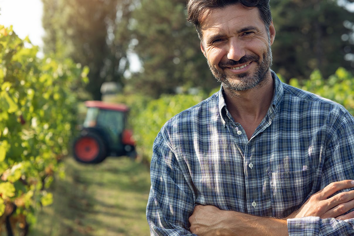 Winzer im Weinberg Winzer im Weinberg