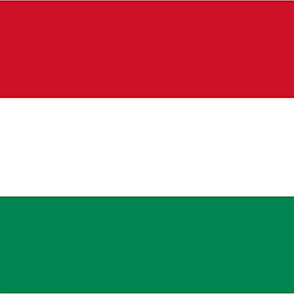 Hungarian Hungarian