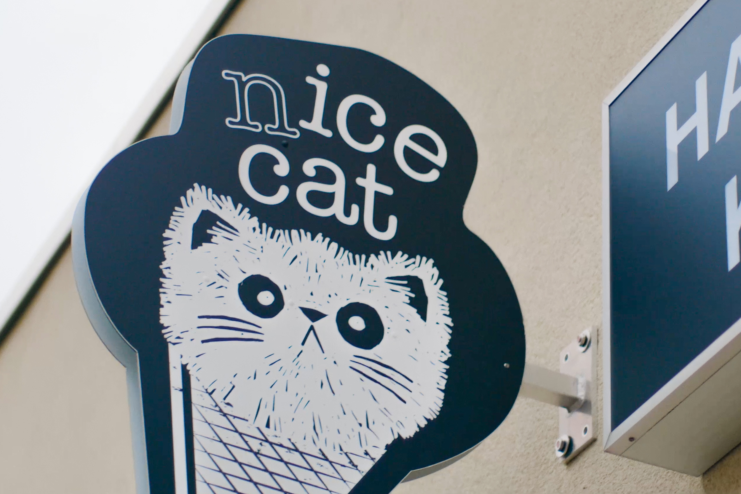 N'ICE CAT