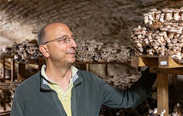 Otto Kammerlander, Pilzbrüder Otto Kammerlander, Pilzbrüder